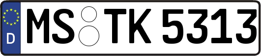 MS-TK5313