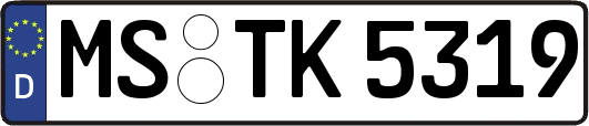 MS-TK5319