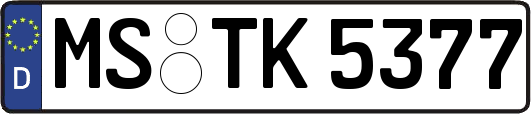 MS-TK5377