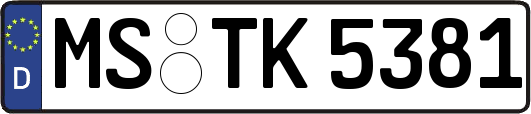 MS-TK5381