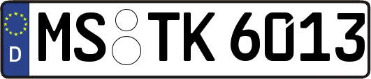 MS-TK6013