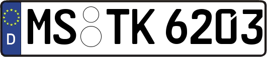 MS-TK6203