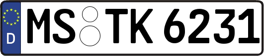 MS-TK6231
