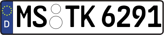 MS-TK6291