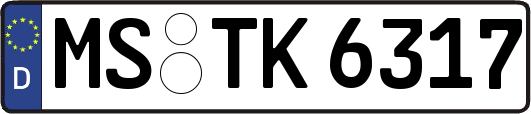 MS-TK6317
