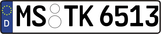 MS-TK6513