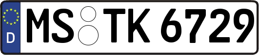 MS-TK6729