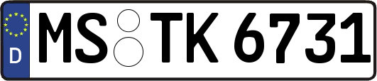 MS-TK6731