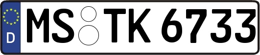 MS-TK6733