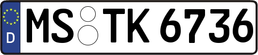 MS-TK6736