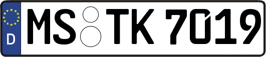 MS-TK7019
