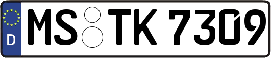 MS-TK7309