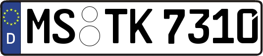 MS-TK7310