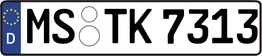 MS-TK7313