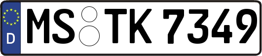 MS-TK7349