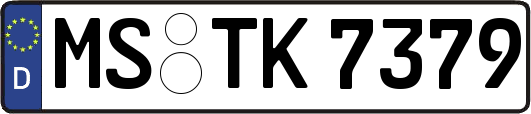 MS-TK7379