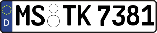 MS-TK7381