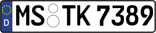 MS-TK7389