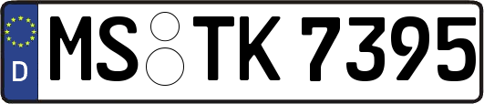 MS-TK7395