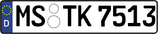 MS-TK7513