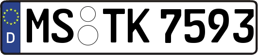MS-TK7593