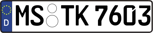 MS-TK7603