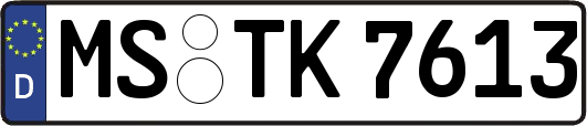 MS-TK7613