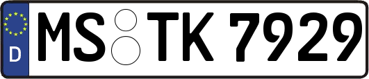 MS-TK7929