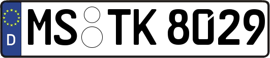MS-TK8029