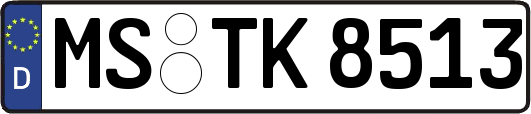 MS-TK8513
