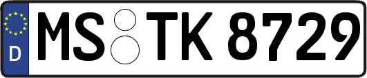 MS-TK8729