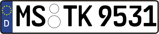MS-TK9531