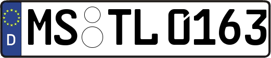 MS-TL0163