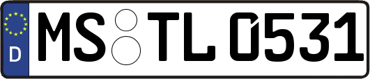 MS-TL0531