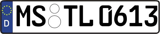 MS-TL0613