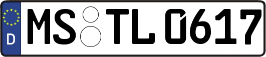 MS-TL0617