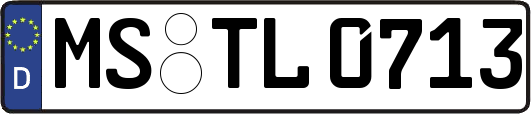 MS-TL0713