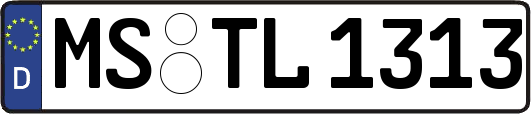 MS-TL1313