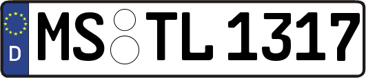MS-TL1317