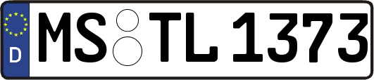 MS-TL1373