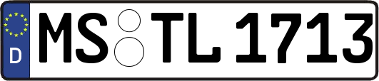 MS-TL1713
