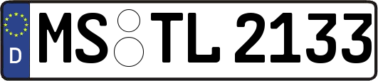 MS-TL2133