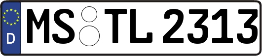 MS-TL2313
