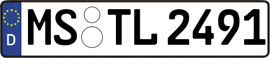 MS-TL2491
