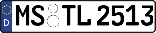 MS-TL2513