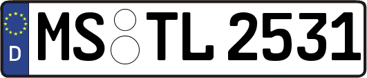 MS-TL2531