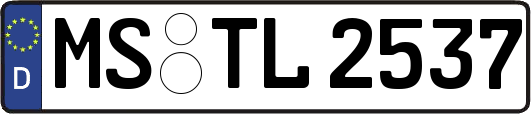 MS-TL2537