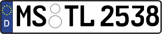 MS-TL2538