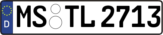MS-TL2713