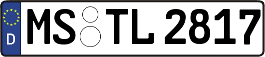 MS-TL2817
